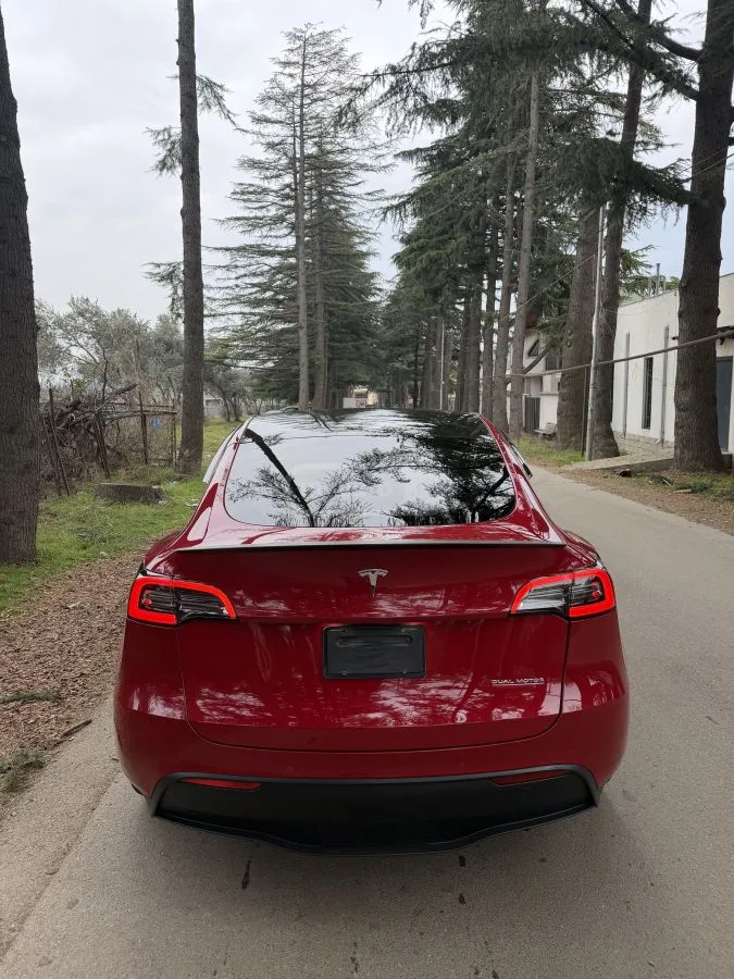 Tesla Model Y 2022 — миниатюра 4