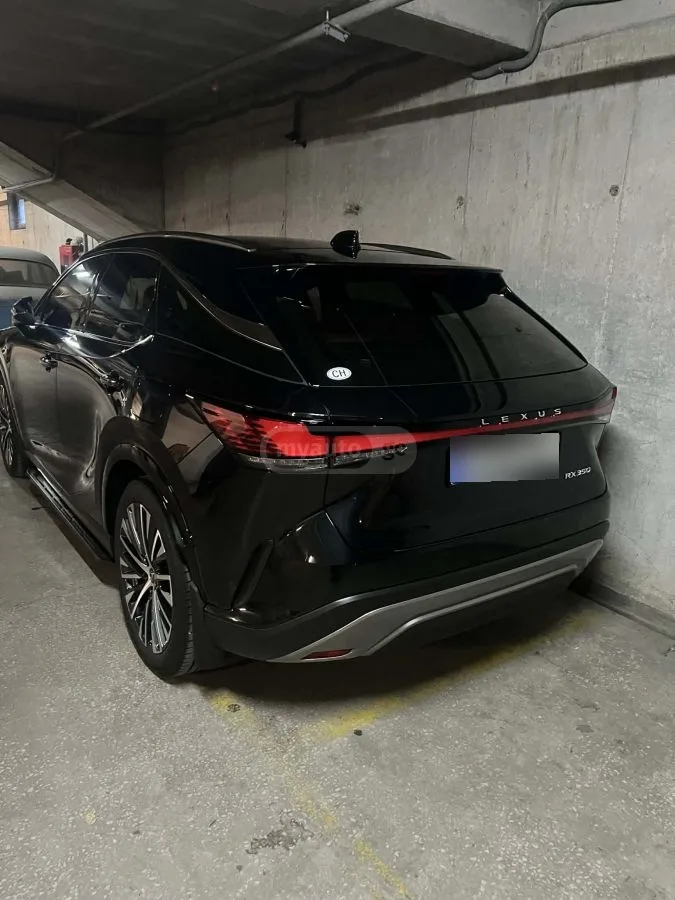 Lexus RX 350 Luxury 4dr 4x2 Automatic 2024 — миниатюра 2