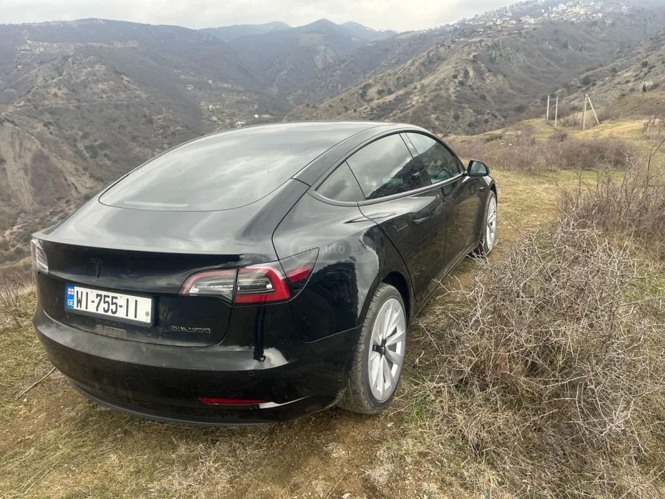 Tesla Model 3 Model 3 dual motors 2022 — миниатюра 4