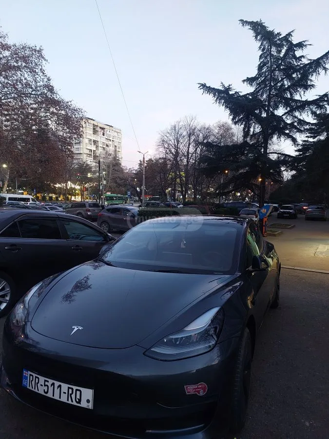 Tesla Model 3 2023 — фото 1, купить с доставкой в Москву