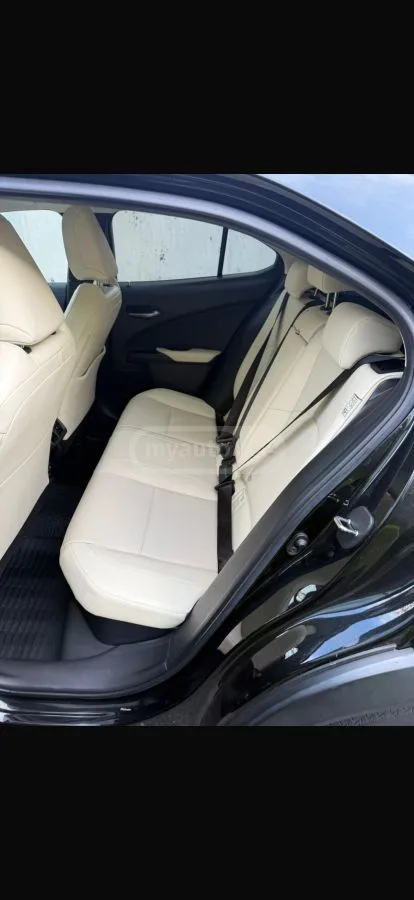 Lexus UX 250 h Luxury 4dr All-Wheel Drive CVT 2022 — миниатюра 5