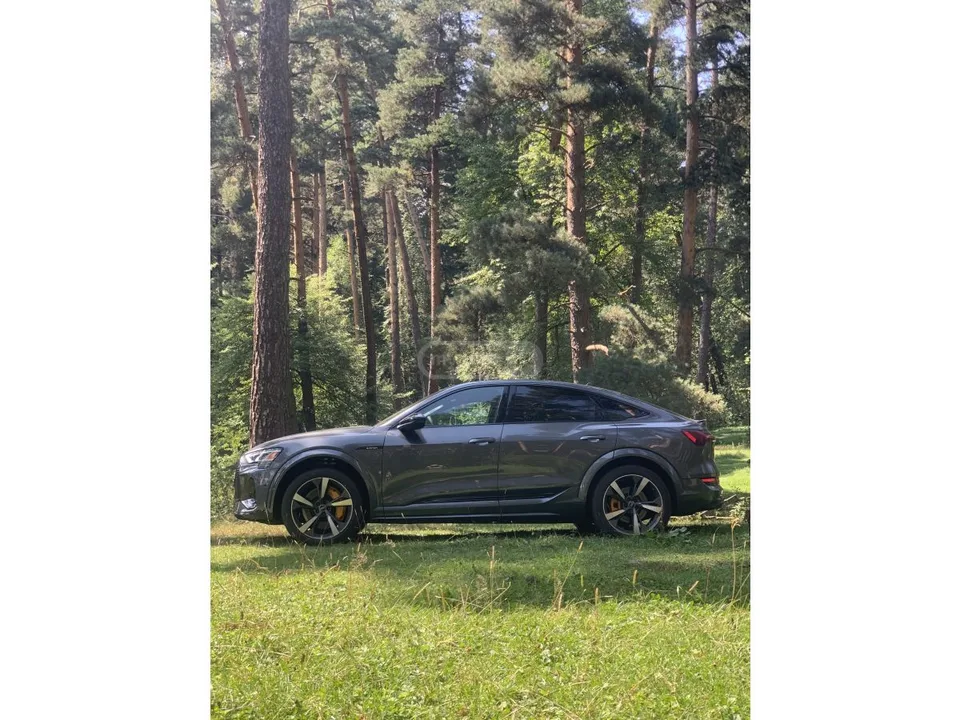 Audi E-Tron S line Premium 4dr All-Wheel D 2022 — миниатюра 4