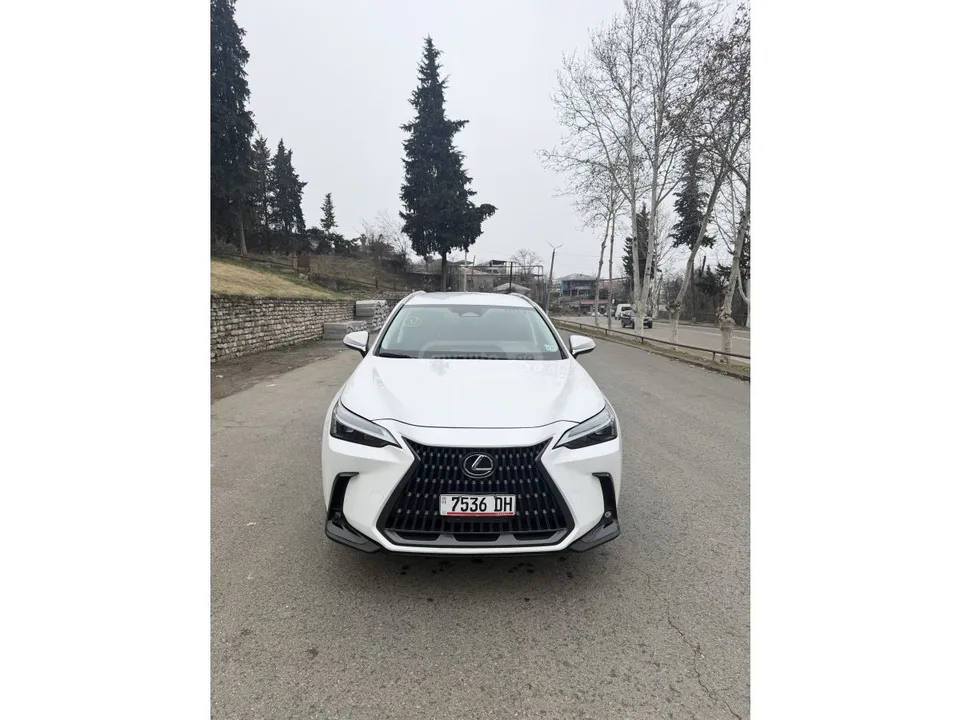 Lexus NX 350 2022 — миниатюра 2