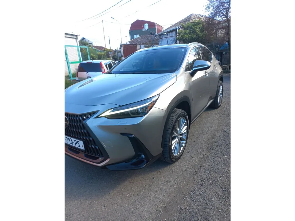 Lexus NX 350 2022 — фото 1, купить с доставкой в Москву