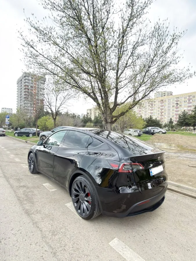 Tesla Model Y Dual motor performance 2025 — миниатюра 2