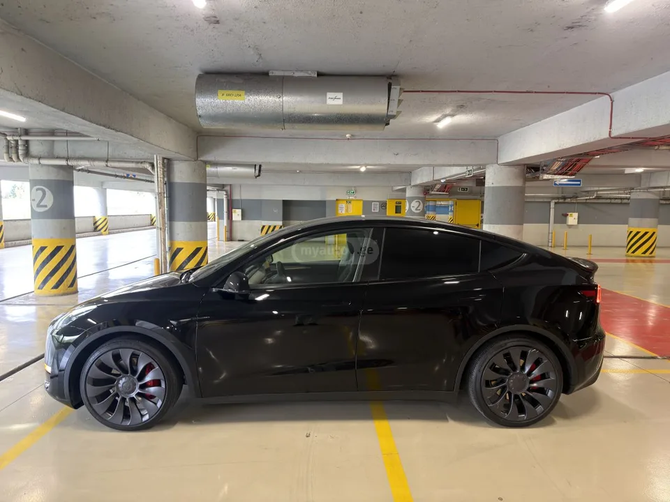 Tesla Model Y Dual motor performance 2025 — миниатюра 3