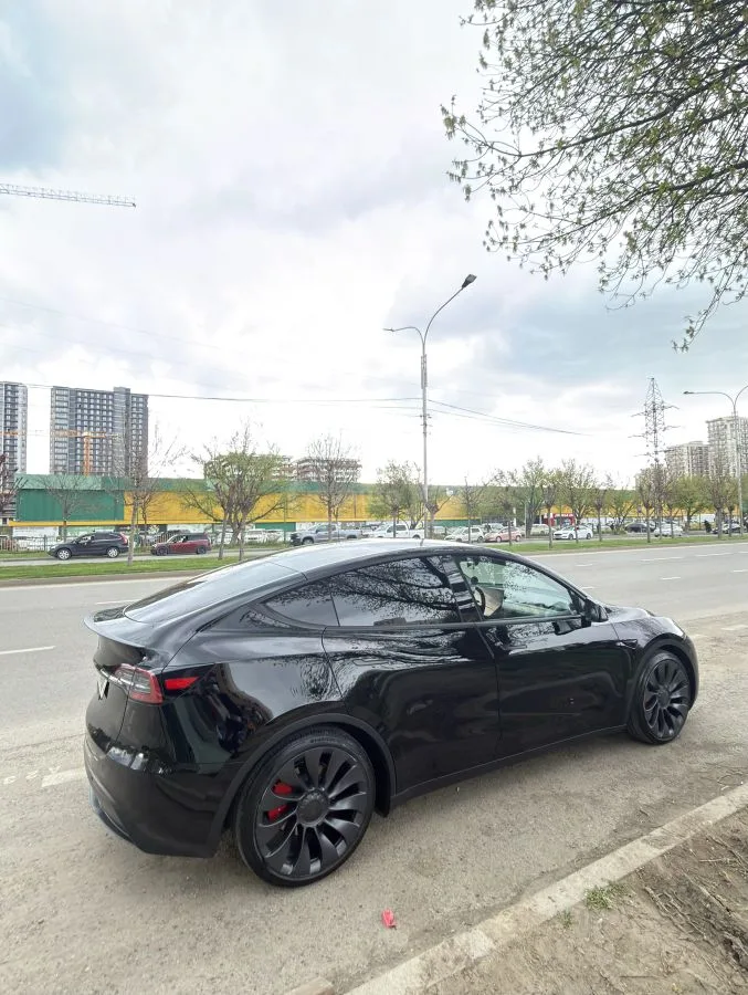 Tesla Model Y Dual motor performance 2025 — миниатюра 5