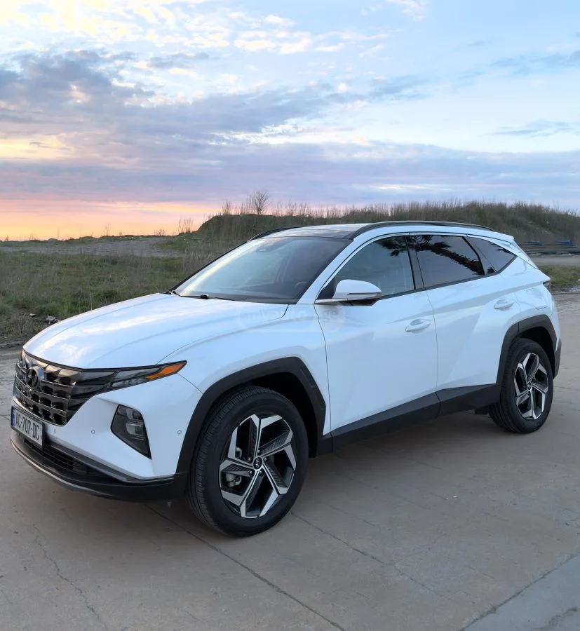 Hyundai Tucson Limited 4dr All-Wheel Drive Au 2023 — фото 1, купить с доставкой в Москву