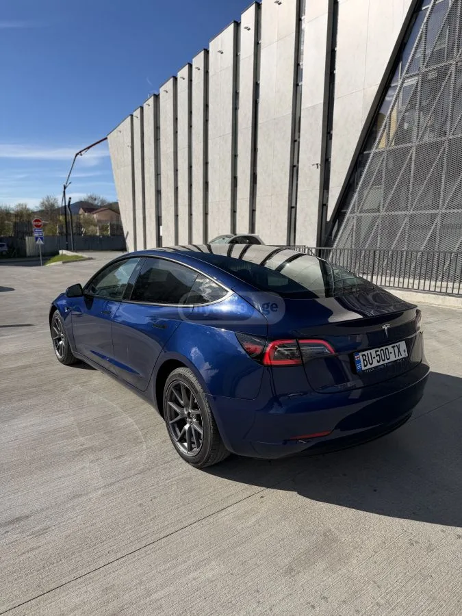 Tesla Model 3 Standart 2023 — миниатюра 2