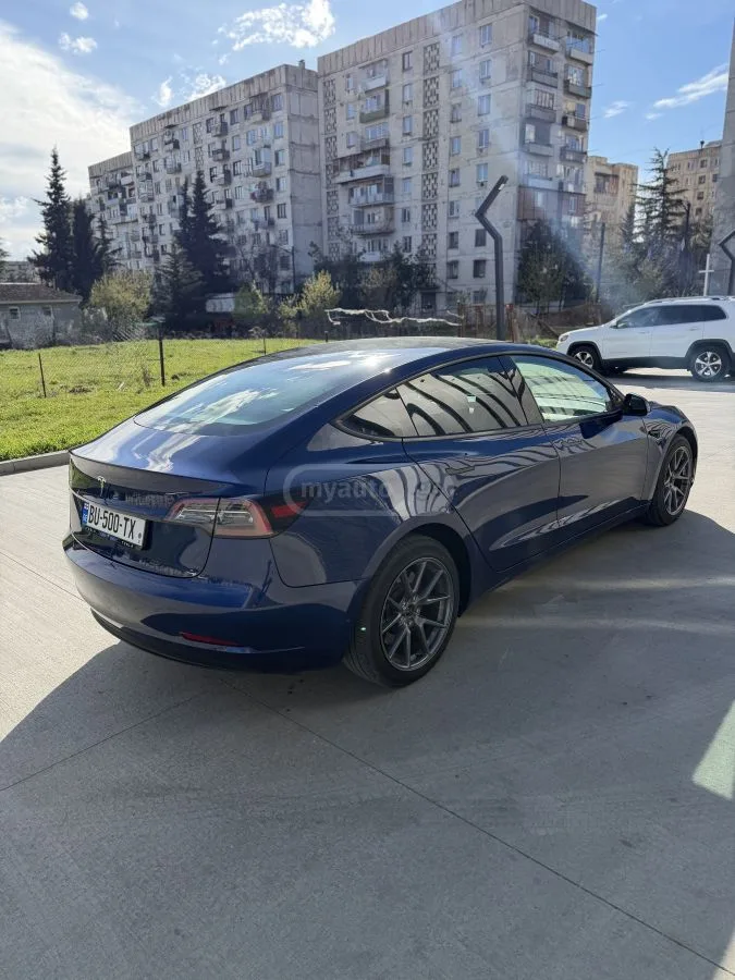 Tesla Model 3 Standart 2023 — миниатюра 3