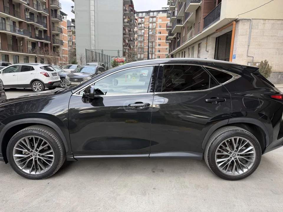 Lexus NX 350 2023 — миниатюра 4