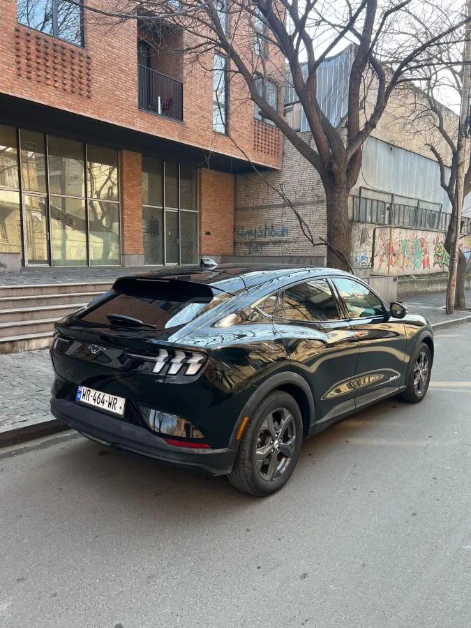 Ford Mustang Mach-E 2022 — миниатюра 4