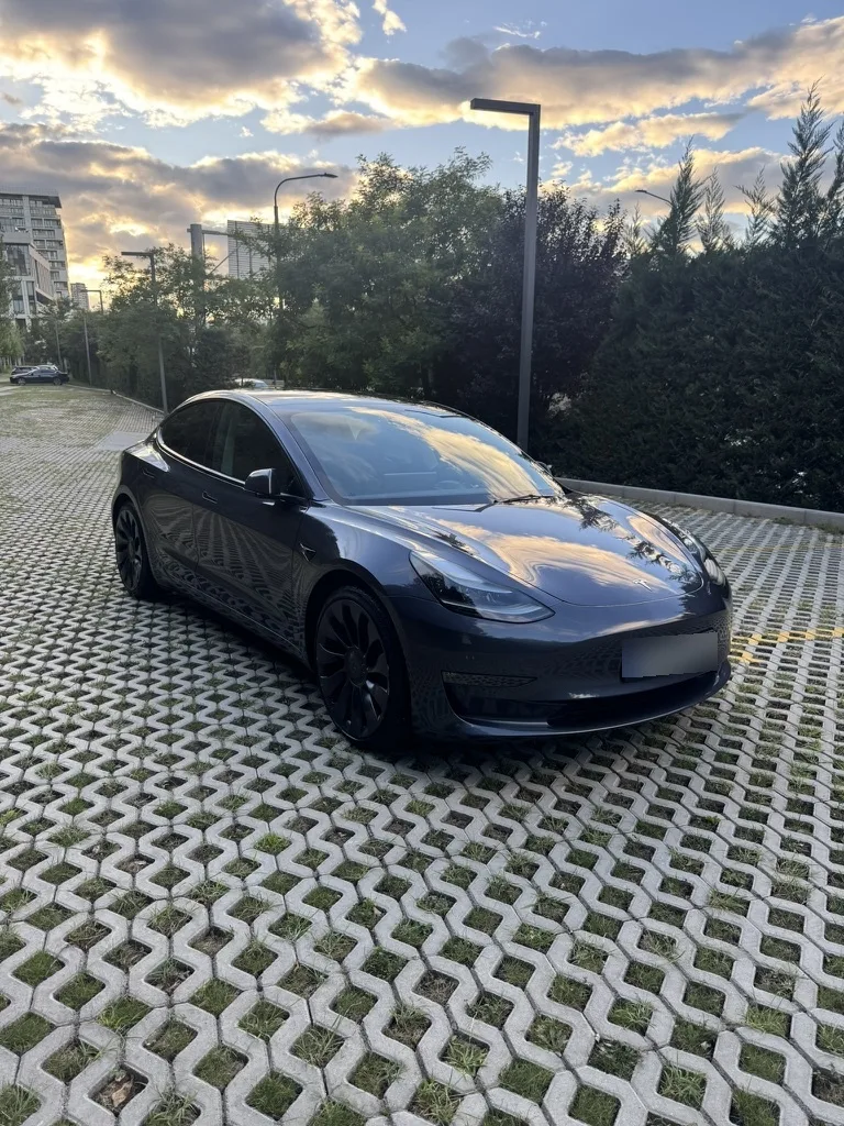 Tesla Model 3 Performance 2023 — фото 1, купить с доставкой в Москву