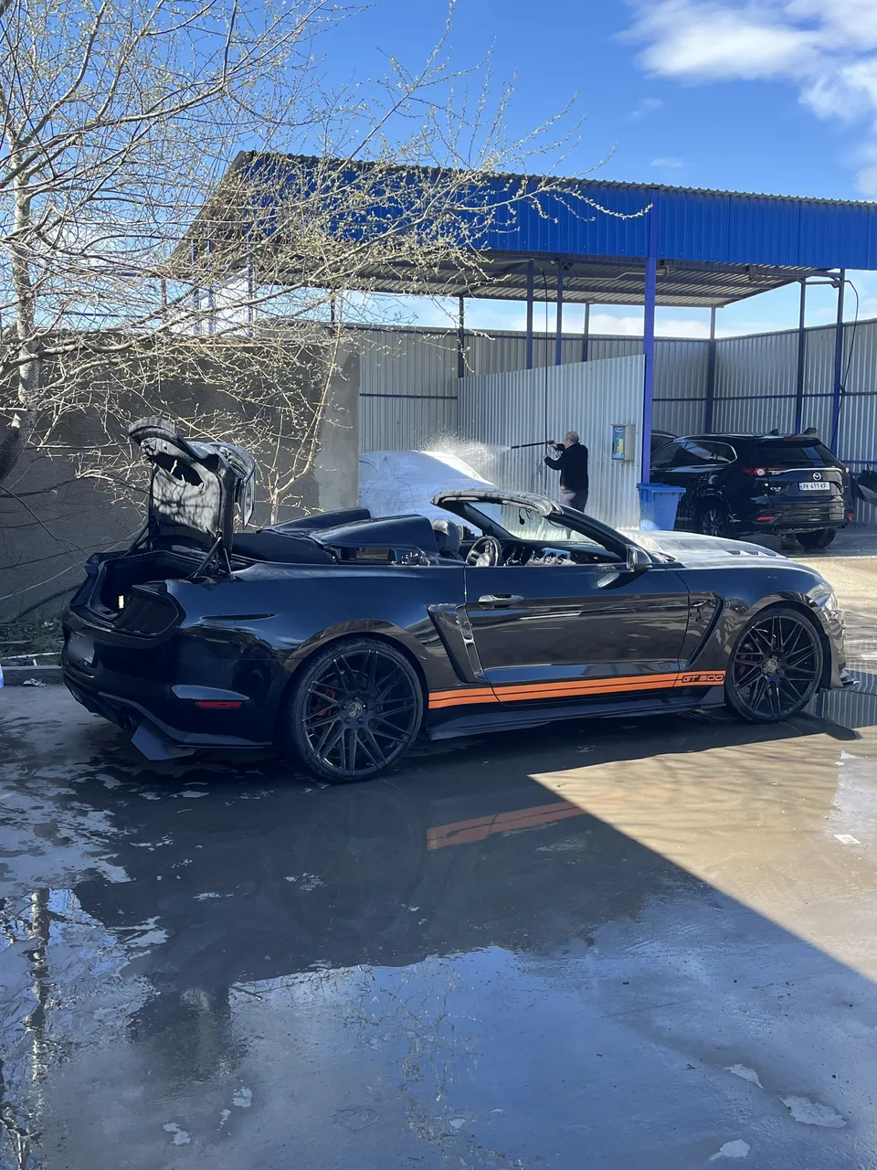 Ford Mustang EcoBoost Premium 2dr Convertib 2023 — миниатюра 4