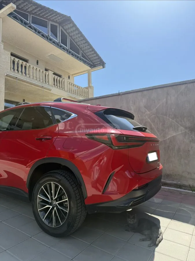 Lexus NX 350 Premium 4dr All-Wheel Drive Au 2023 — миниатюра 4