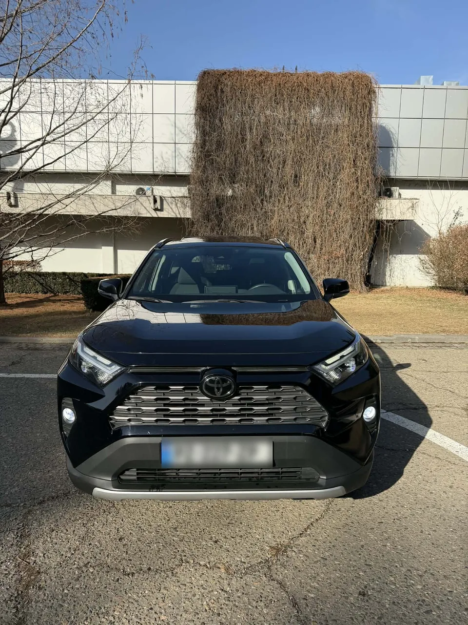 Toyota RAV 4 2023 — миниатюра 2