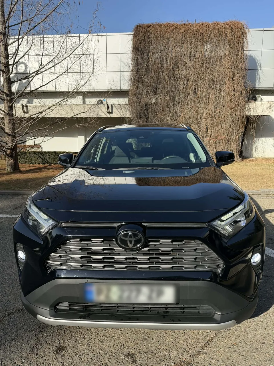 Toyota RAV 4 2023 — миниатюра 4