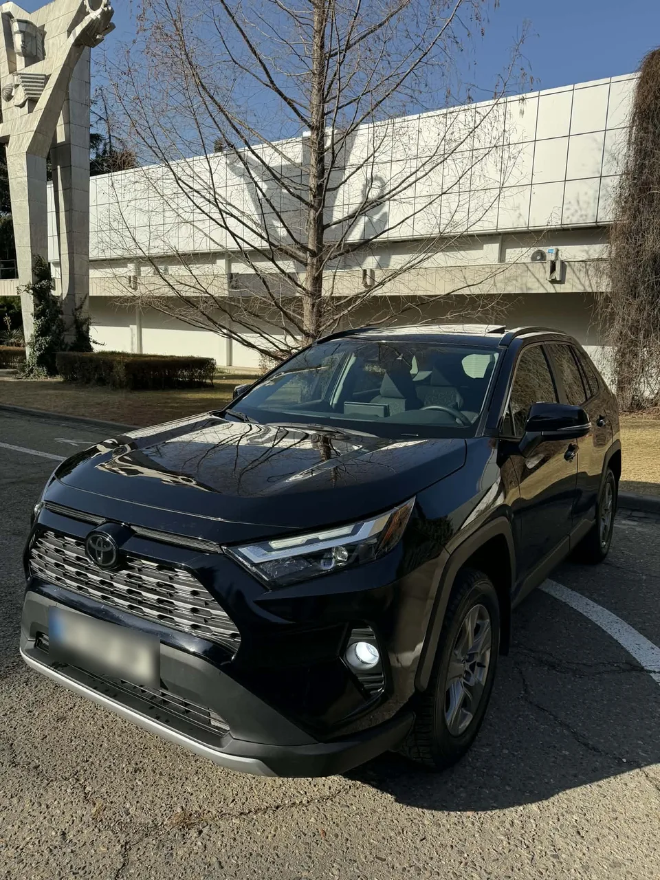 Toyota RAV 4 2023 — фото 1, купить с доставкой в Москву