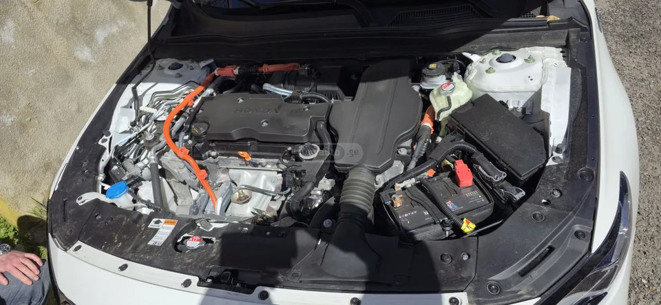 Honda Accord +995568206820 2023 — миниатюра 5