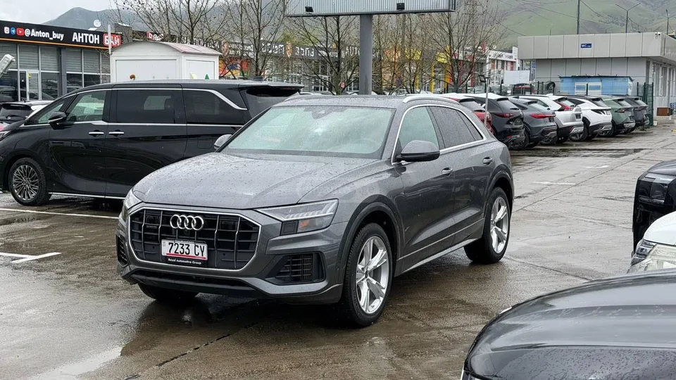 Audi Q8 2022 — миниатюра 2