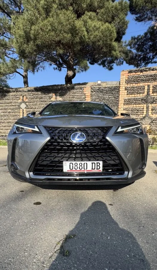 Lexus UX 250h Base 4dr All-Wheel Drive CVT 2022 — миниатюра 2