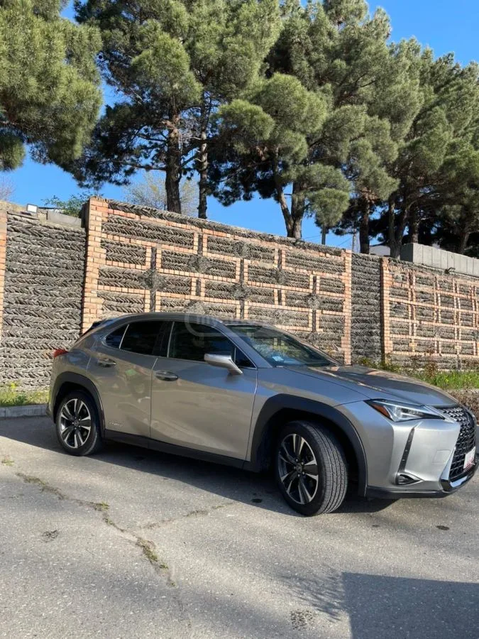 Lexus UX 250h Base 4dr All-Wheel Drive CVT 2022 — миниатюра 3