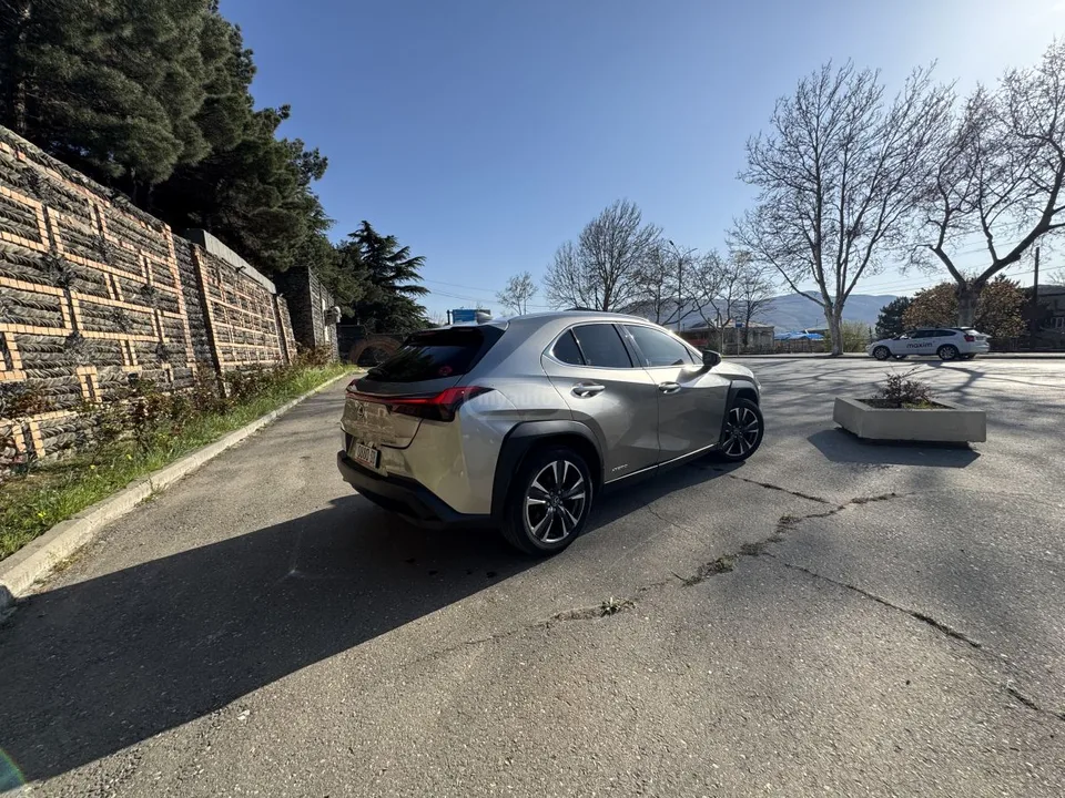 Lexus UX 250h Base 4dr All-Wheel Drive CVT 2022 — миниатюра 5