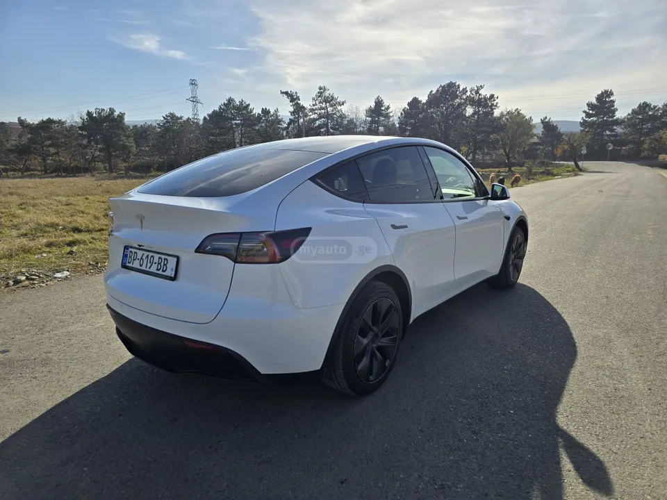Tesla Model Y Dual Motor Long Range 2025 — миниатюра 3