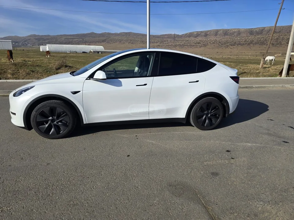 Tesla Model Y Dual Motor Long Range 2025 — миниатюра 5