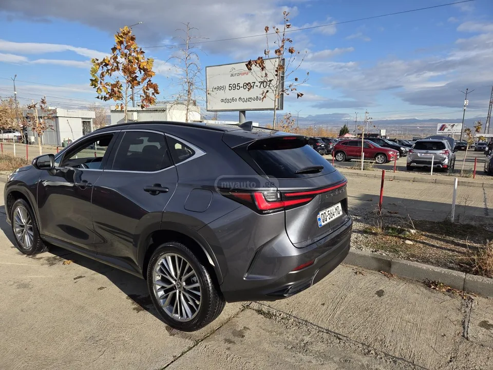 Lexus NX 350 2022 — миниатюра 3