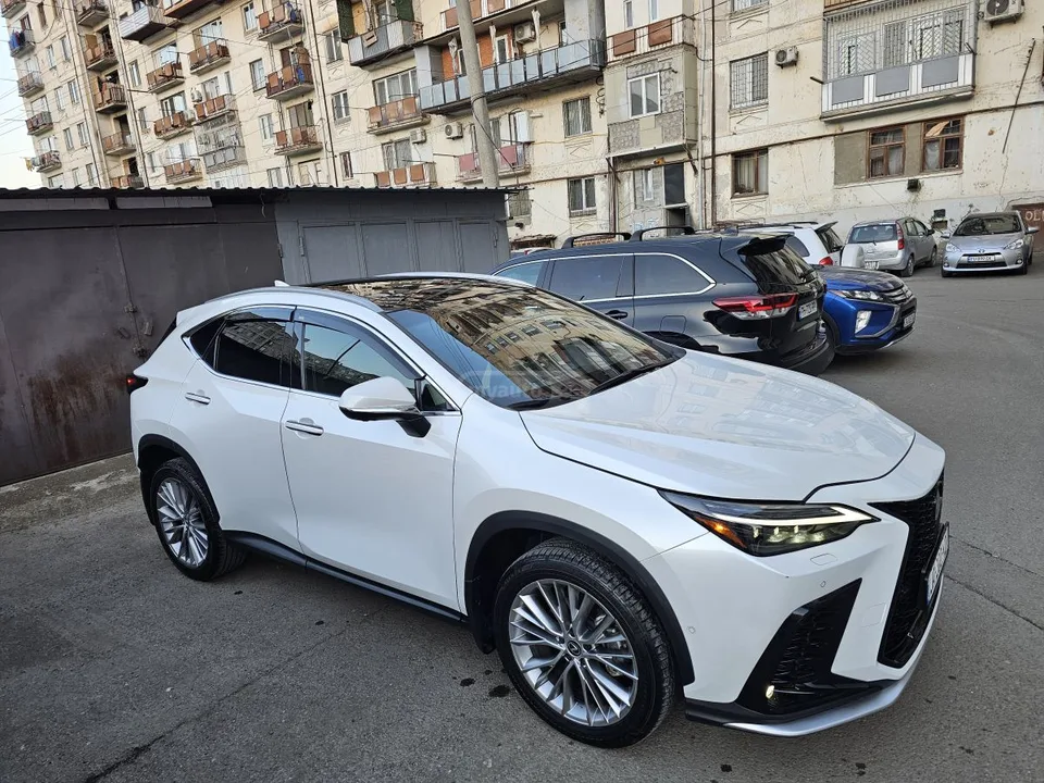 Lexus NX 350 2023 — миниатюра 2