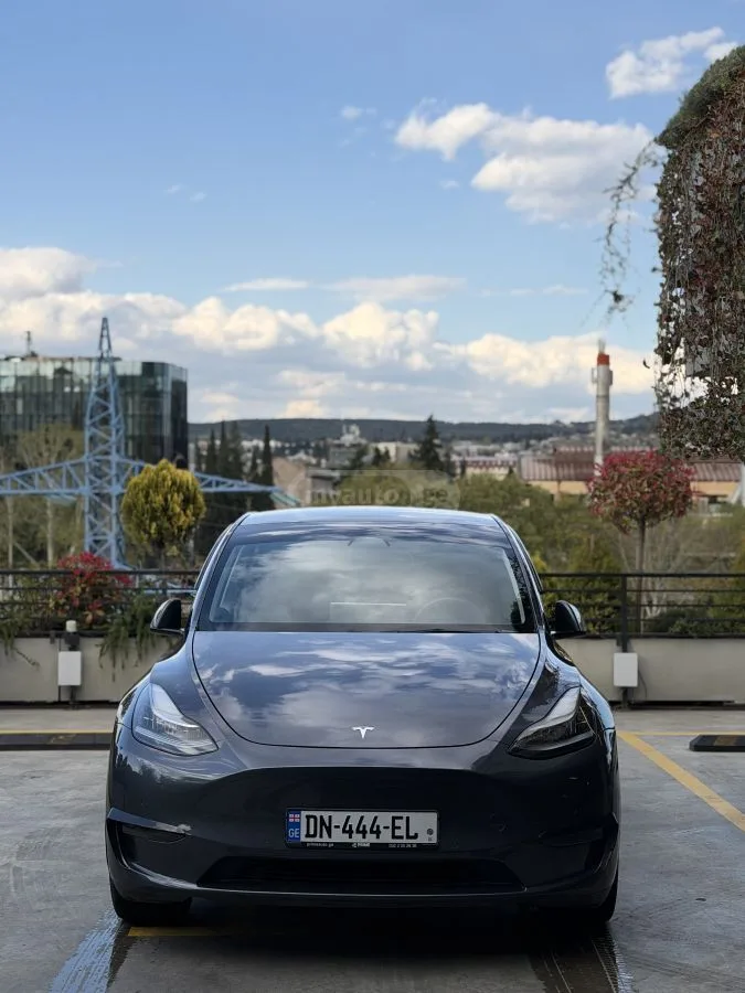 Tesla Model Y 2022 — миниатюра 2