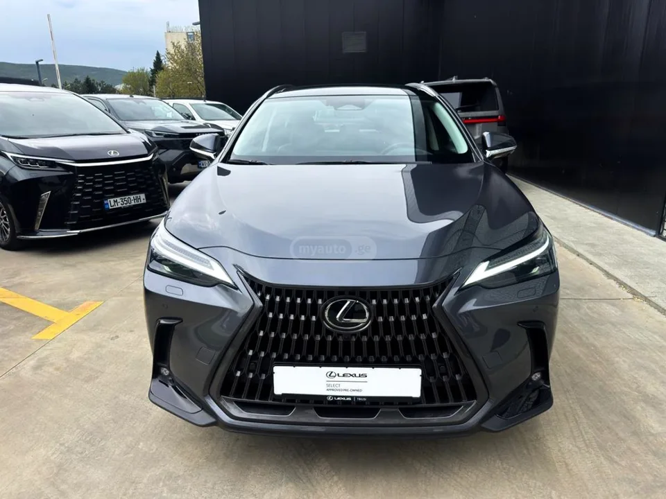 Lexus NX 350 2024 — миниатюра 2