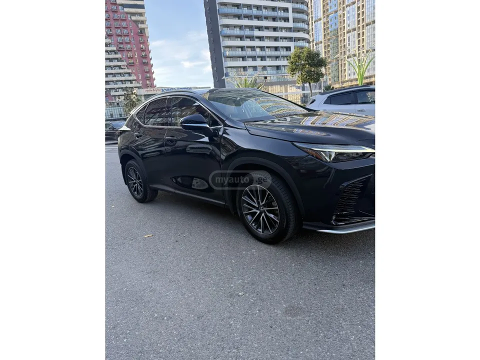 Lexus NX 350 Base 4dr All-Wheel Drive Autom 2023 — миниатюра 5