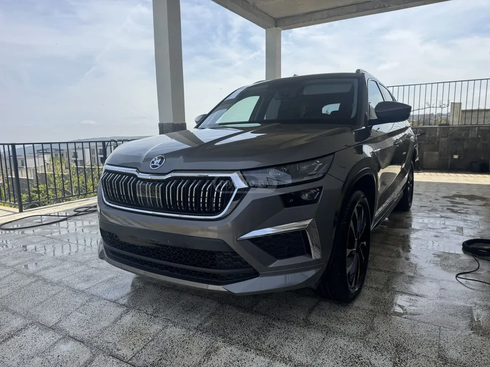 Skoda Kodiaq 2022 — фото 1, купить с доставкой в Москву