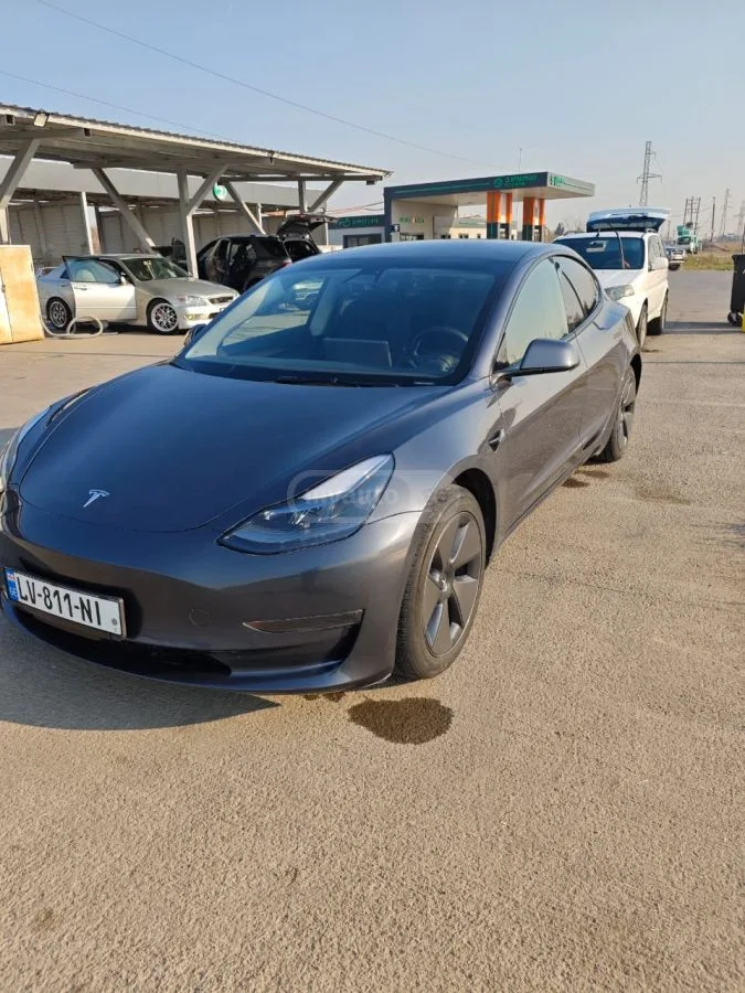 Tesla Model 3 Standart plus 2023 — миниатюра 2
