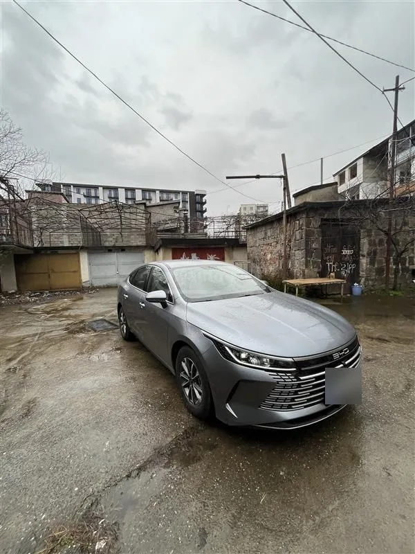 BYD Destroyer 05 2024 — миниатюра 5