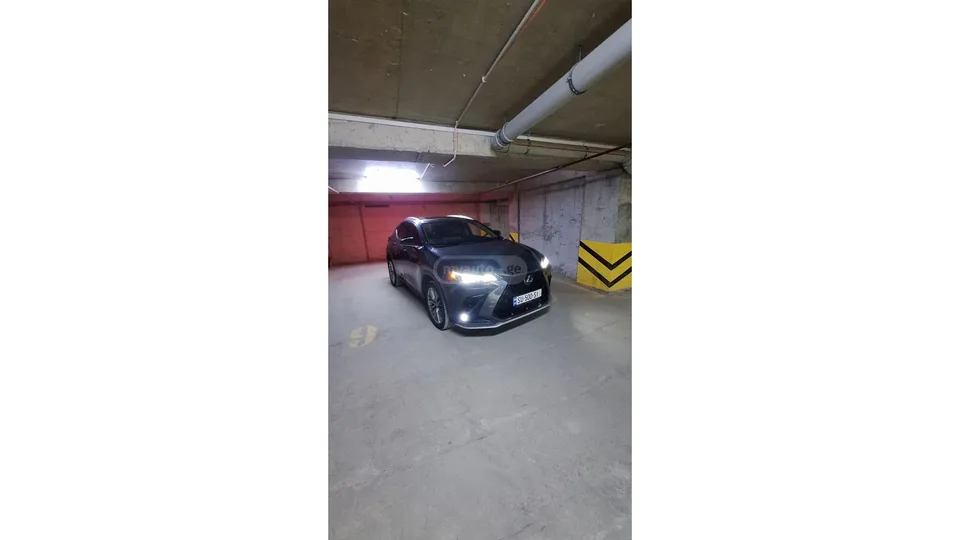 Lexus NX 350 2022 — миниатюра 4
