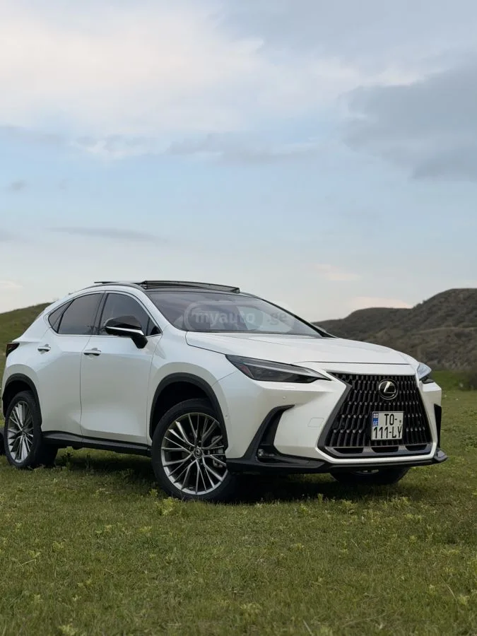 Lexus NX 350 Luxury 4dr All-Wheel Drive Aut 2022 — миниатюра 3