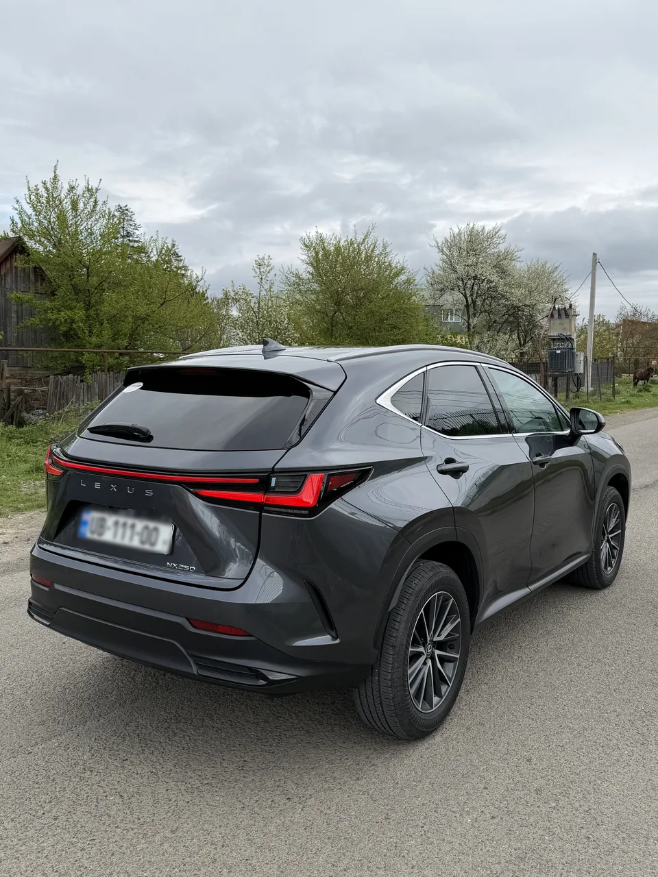 Lexus NX 250 2024 — миниатюра 4