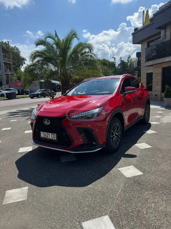 Lexus NX 350 2023 — миниатюра 3
