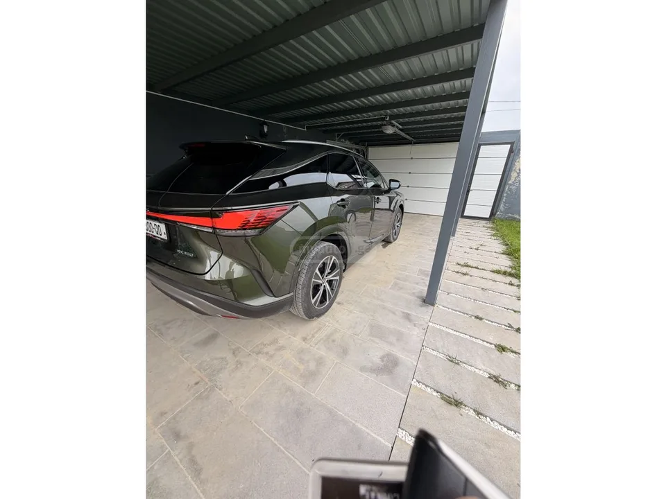 Lexus RX 350 Premium 4dr 4x2 Automatic 2024 — миниатюра 2