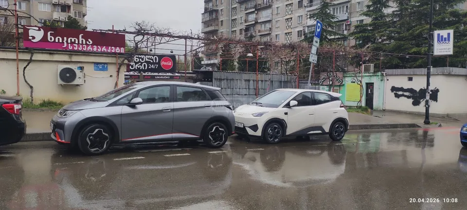 BYD Dolphin - 2023 — миниатюра 3