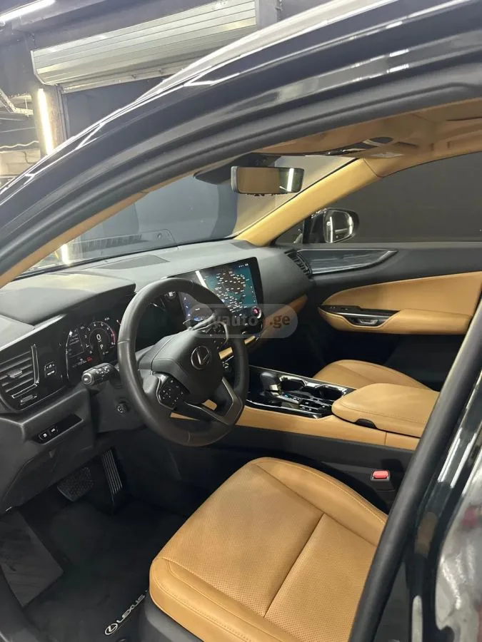 Lexus NX 350 2023 — миниатюра 2