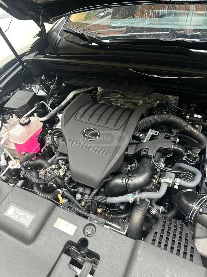 Lexus NX 350 2023 — миниатюра 3