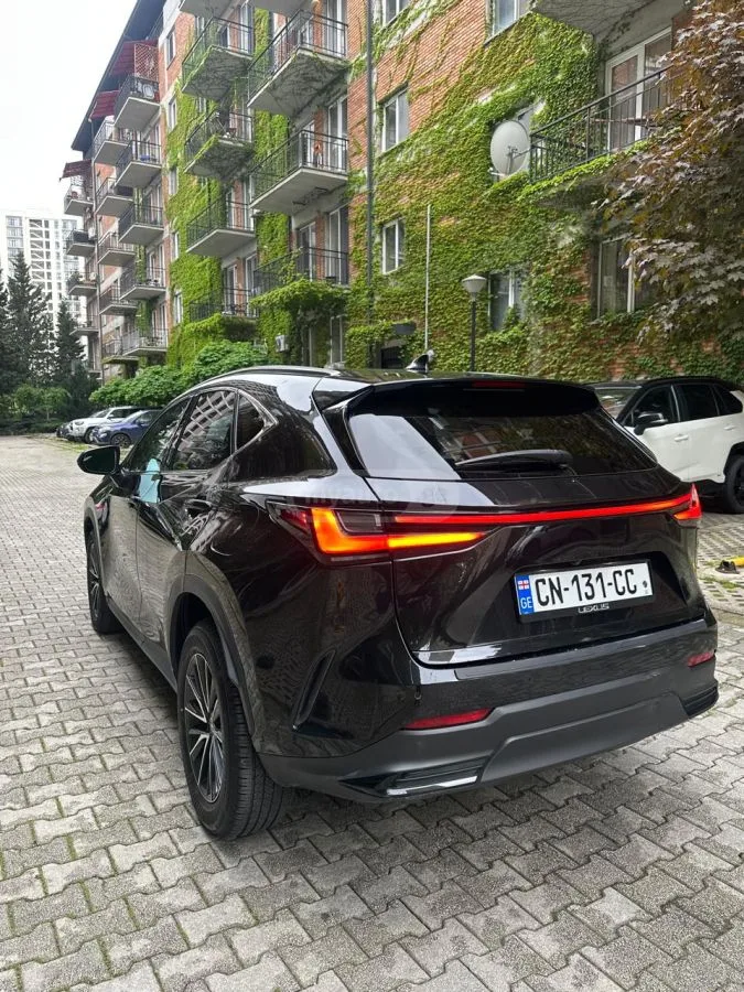 Lexus NX 350 2023 — миниатюра 4