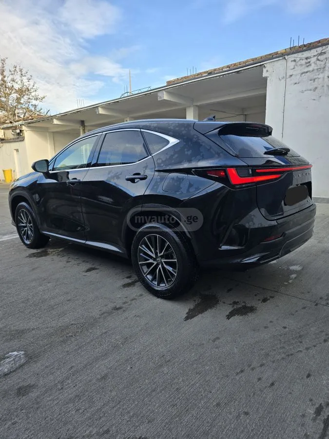 Lexus NX 350 Premium 4dr All-Wheel Drive Au 2023 — миниатюра 2