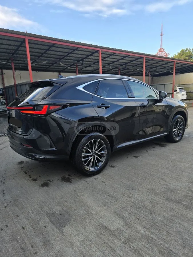 Lexus NX 350 Premium 4dr All-Wheel Drive Au 2023 — миниатюра 4