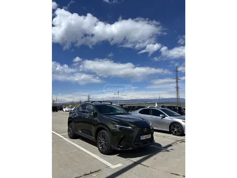 Lexus NX 350 2023 buy in Moscow