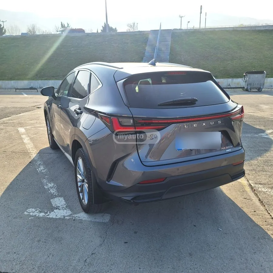 Lexus NX 350 200 2023 — миниатюра 2